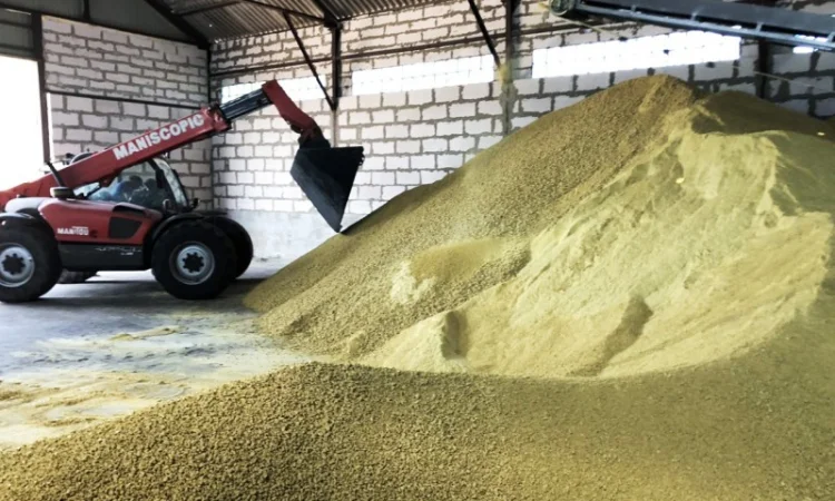 Макуха СОЄВА протеін 45% - фото № 1