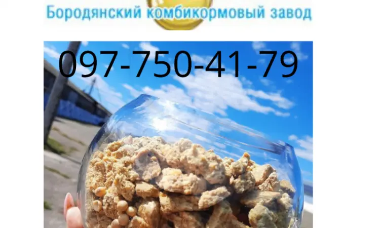 Продаем натуральную соевую макуху высокого качества - фото № 1