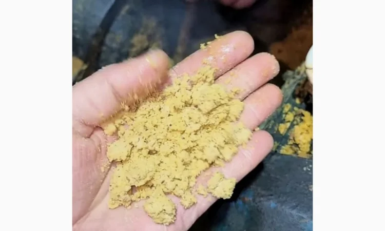 Виробник продає Соєву макуху-шрот-олію - фото № 2