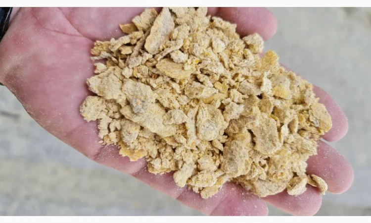 Жмых кукурузы/макуха в продаже - фото № 9