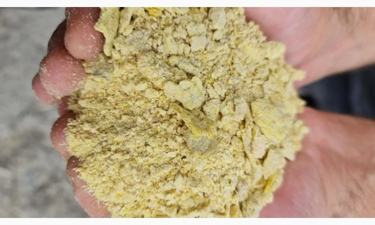 Жмых кукурузы/макуха в продаже - фото № 6