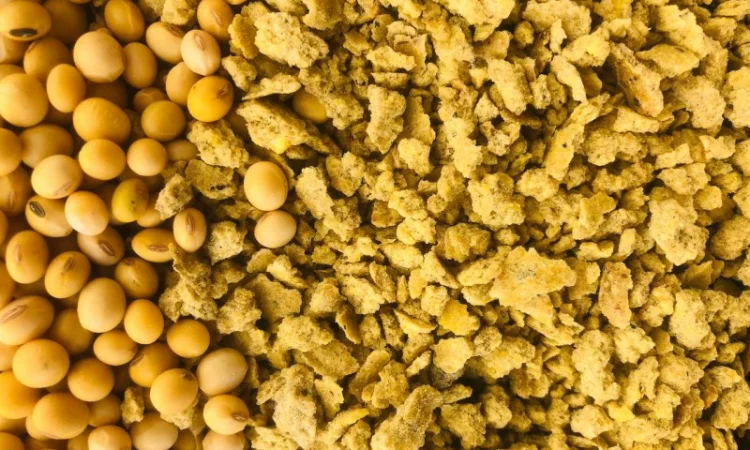 Продается соевая макуха – натуральный корм для вашего хозяйства - фото № 1