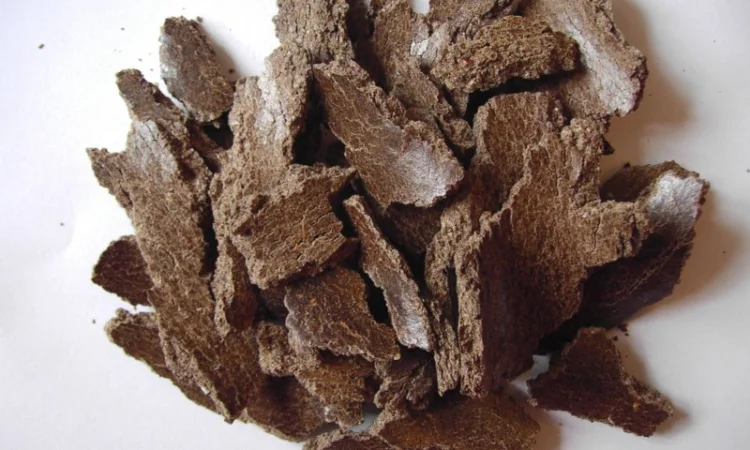 Макуха розторопші та коноплі, жмых розторопші - фото № 1