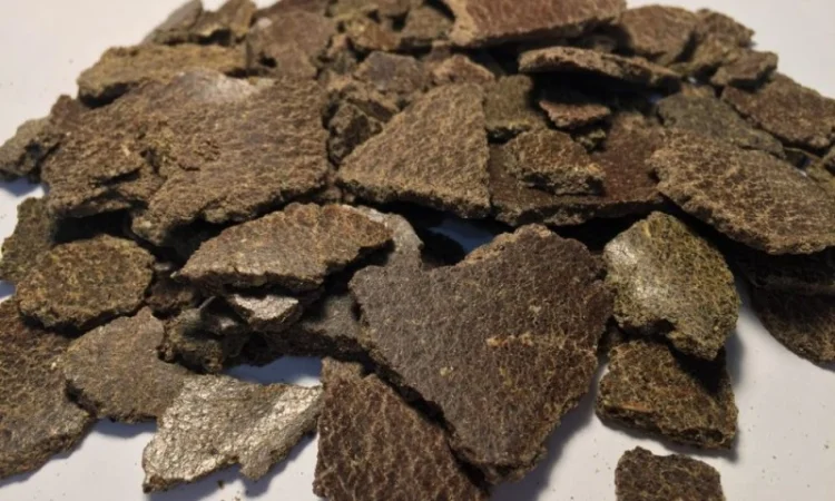 Польская фирма AgroTorg Sp. z o.o. закупает жмых рапсовый на ЭКСПОРТ - фото № 1