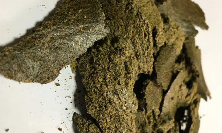 Рапсовый жмых - фото № 1