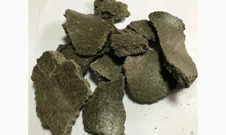 Макуха соняшникова - фото № 1