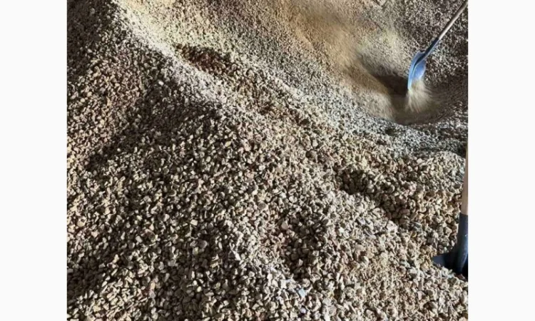 Продаж соєвого жмиха від виробника - фото № 2