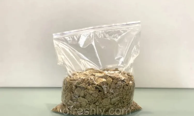 Тыквенный жмых / Макуха тыквы - фото № 1