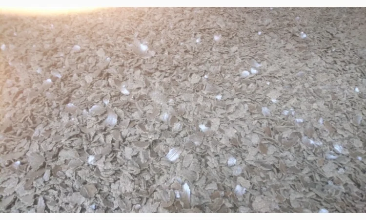 Куплю рапсовый жмых и подсолнечный жмых - фото № 1