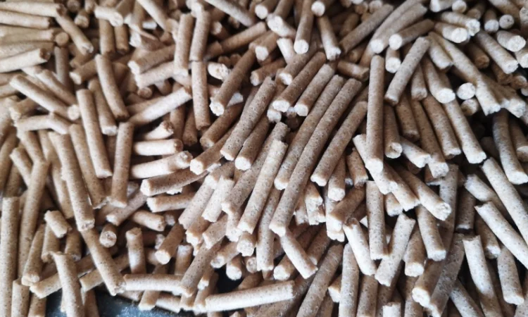 Макуха амарантова гранульована від виробника - фото № 1