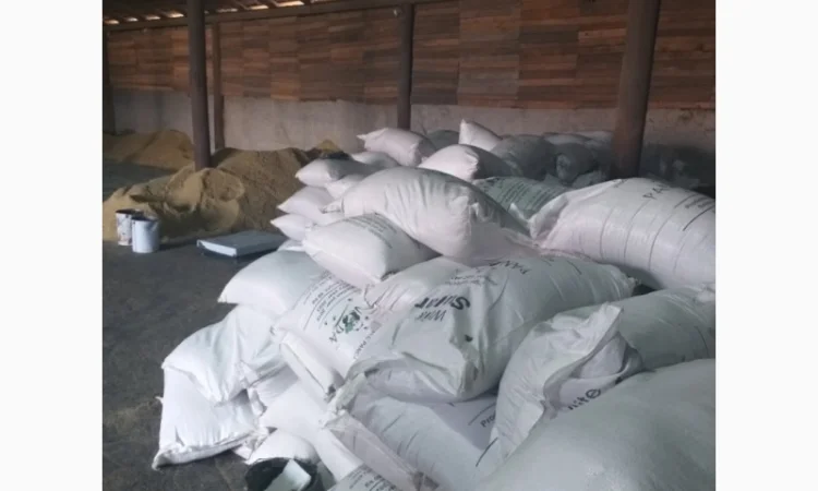 Соевый жмых, корм для свиней, доставка Новая Почта - фото № 4