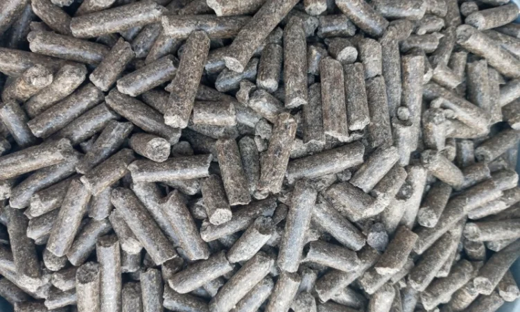 Макуха Соевая(протеин 43%) - фото № 4