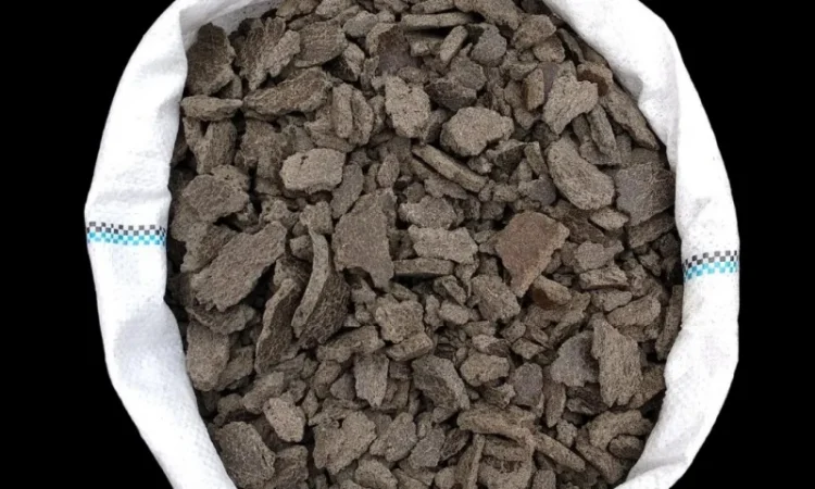 Купуємо макуху Соняшникову - фото № 1