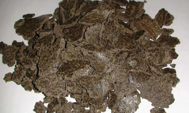 Продам макуху соняшникову - фото № 1