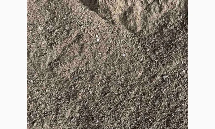 Продам жмых технический низкопротеиновый - фото № 2