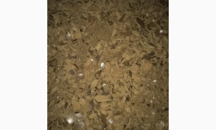 Продам рапсовый жмых - фото № 2