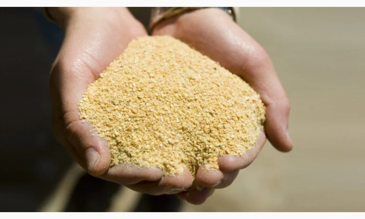 Закупка шрота соевого для экспорта от компании AgroTorg Sp. z o.o. - фото № 1