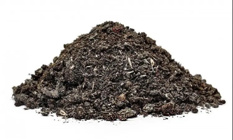AgroTorg Sp. z o.o. закупаем шрот подсолнечный на ЭКСПОРТ - фото № 1