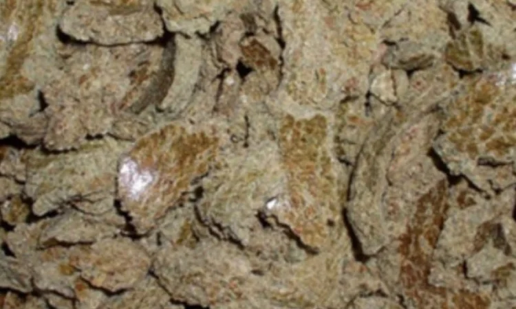 Продажа шрота и макухи оптом - фото № 1