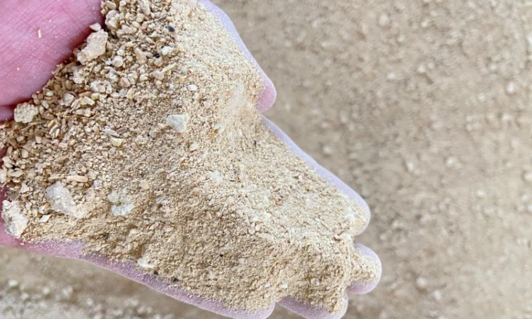 Соєвий шрот від виробника - фото № 1