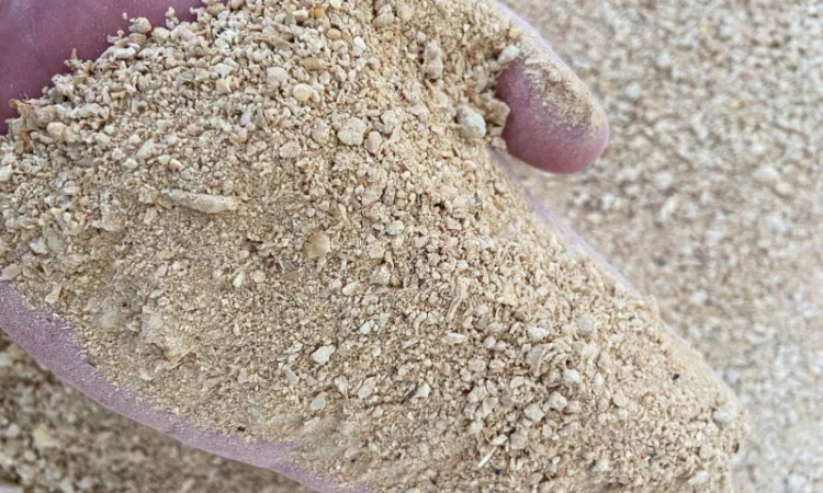 Соевый шрот от производителя - фото № 1