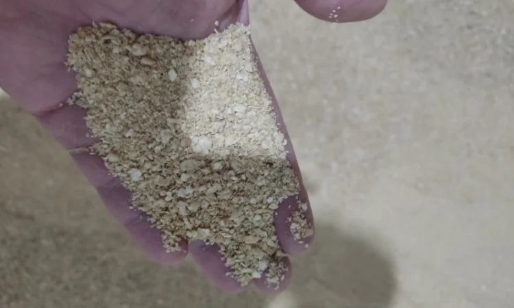 Продается соевый шрот оптом - фото № 2