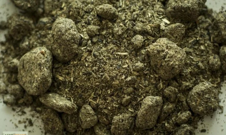 Шрот подсолнечный высокопротеиновый - фото № 1