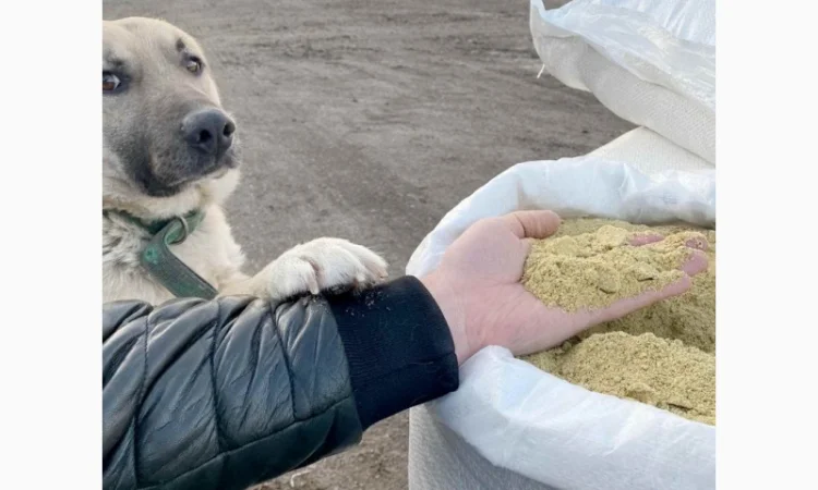 Продается соевый шрот от 45 кг, протеин 44-45% - фото № 4