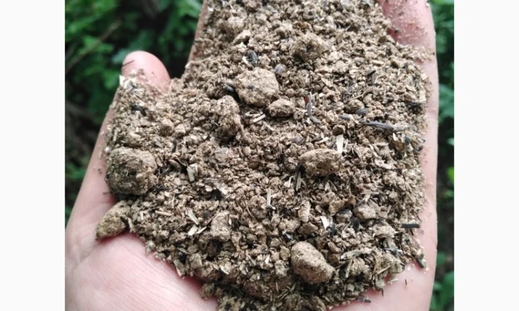 Куплю Шрот соняшниковий - фото № 1