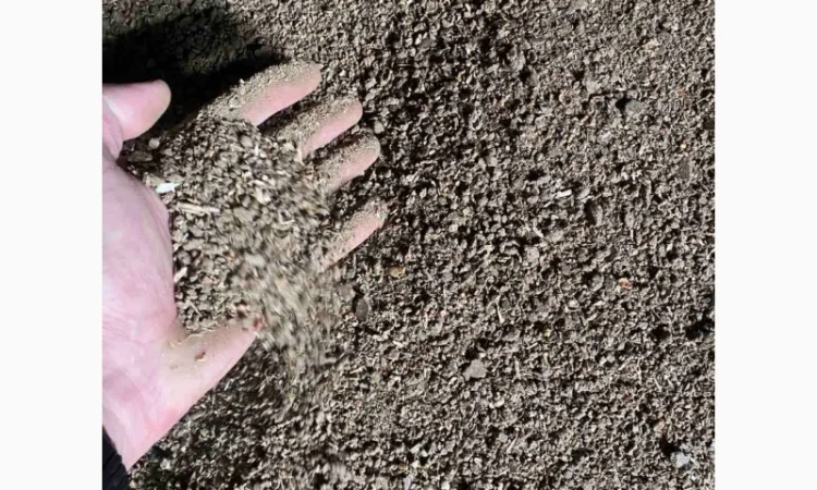 Пропонується шрот соняшника з високим вмістом протеїну - фото № 4