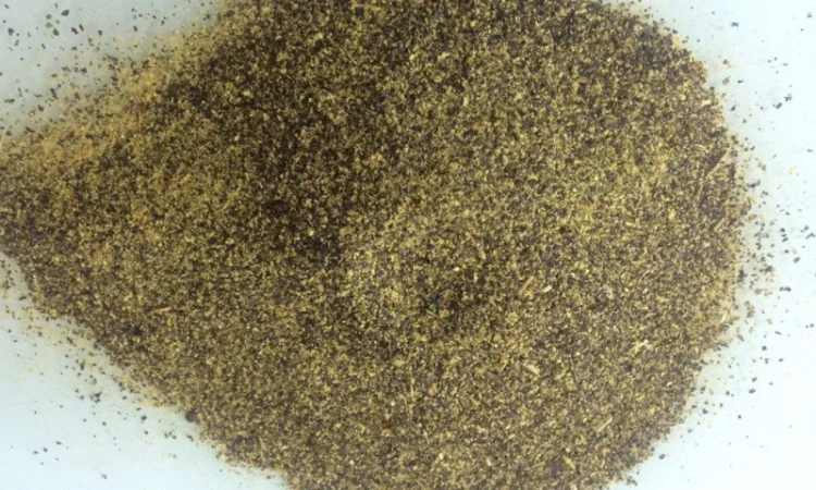 Продам Ріпаковий шрот, протеїн 37% - фото № 1