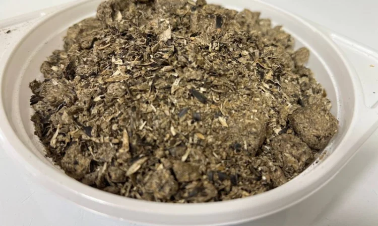 Соняшниковий шрот з високим вмістом білка та низьким вмістом жиру - фото № 4