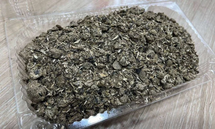 Соняшниковий шрот 30 кг: 39% білка, 0,9% жиру - Технології на вищому рівні - фото № 1