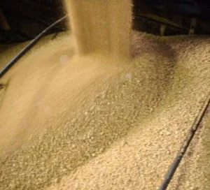 Пропонується соєвий шрот та олія без посередників - фото № 1