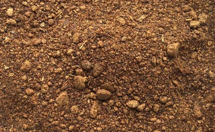 Закупаем негранулированный рапсовый шрот - фото № 1