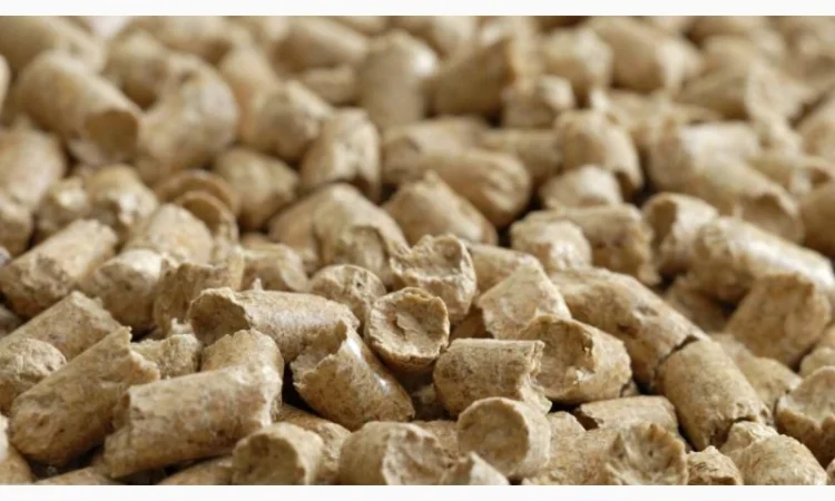 Куплю Соєвий Шрот на експорт, 46-53, 2 % протеїну - фото № 1