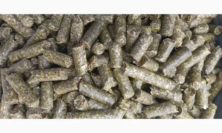 Люцерну в Гранулах - фото № 1