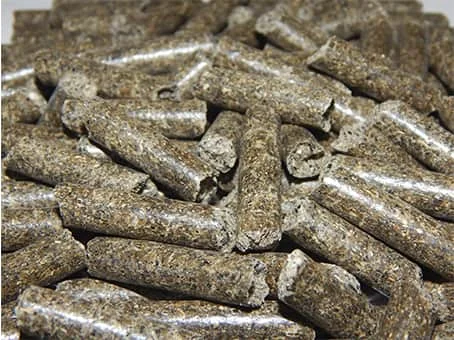 Купляємо соняшниковий шрот гранульований та не гранульований - фото № 2