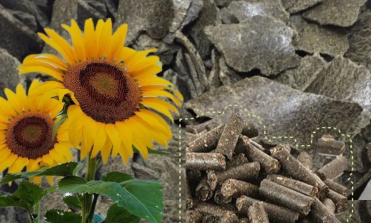 Шрот соняшника продам - фото № 1