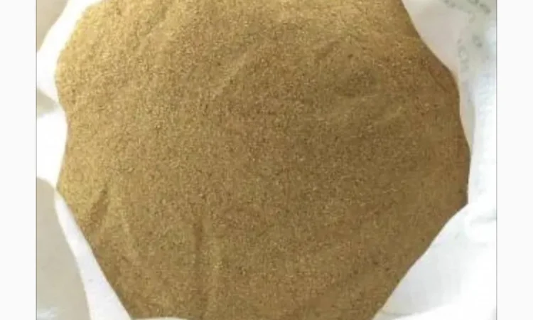 Кормовые дрожжи с высоким содержанием белка - фото № 1