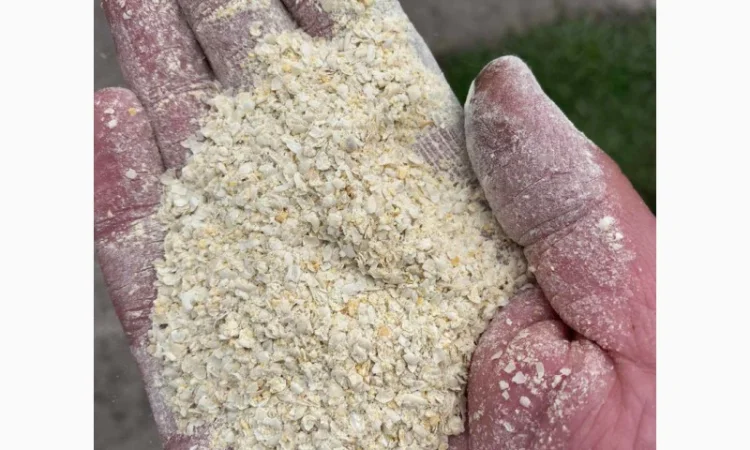 Мучка гороховая – 7000 грн за тонну - фото № 2