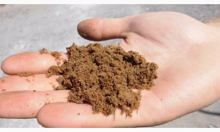 Мука мясо-костная - фото № 2