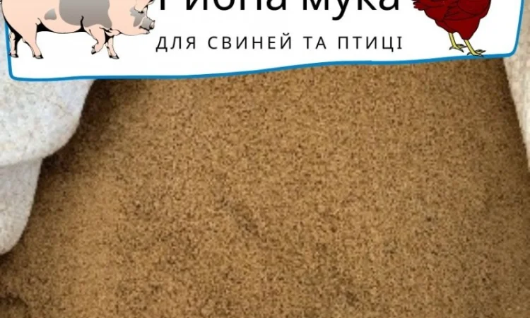 Предлагаем качественную рыбную муку - протеин 63-66%, 69-73% - фото № 1