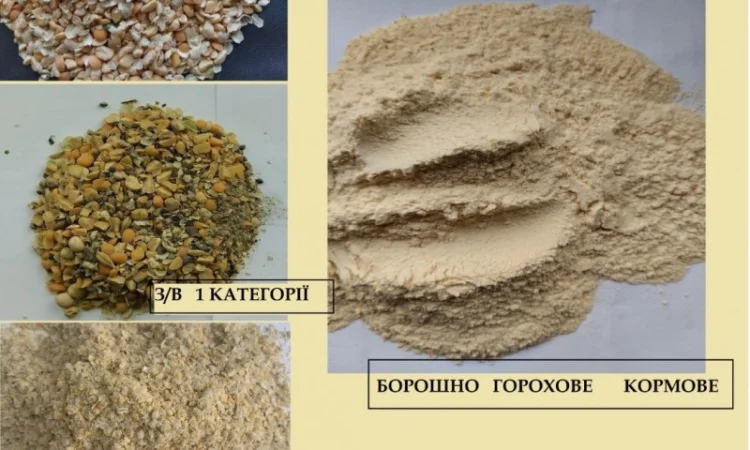 Борошно горохове - фото № 5