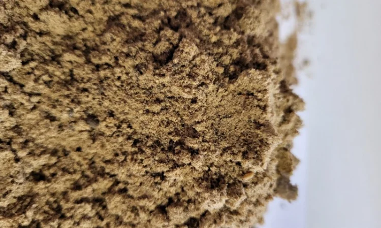 М'ясокісткове борошно - фото № 7