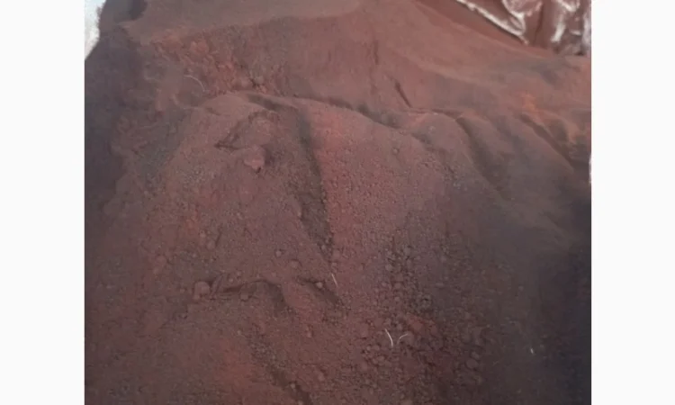 Кровʼяне борошно - фото № 1