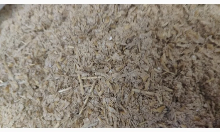 Висівки ЯЧМІННІ кормові - фото № 1