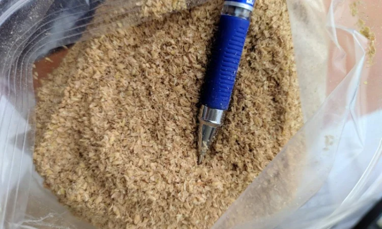 Продам висівку (лушпиння) проса Велика кількість - фото № 2