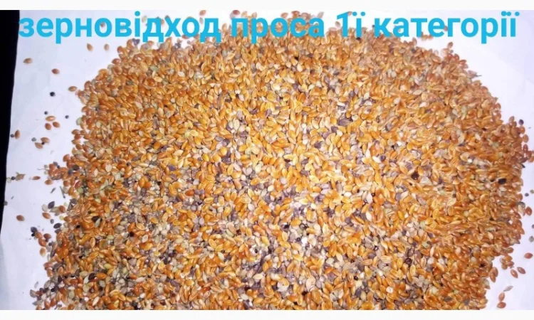 Продам висівку (лушпиння) проса Велика кількість - фото № 4