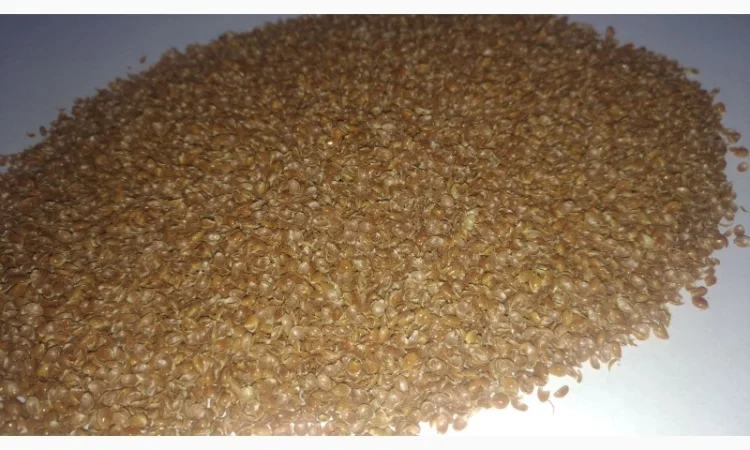 Продам висівку (лушпиння) проса Велика кількість - фото № 5